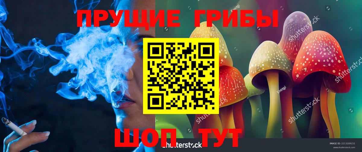 Аша  Псилоцибиновые грибы ЛСД  Вход с VPN 